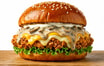 18 Mushroom Crispy Burger