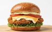 19 Joppie Crispy Burger